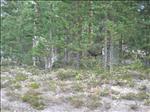 Sweden 2006-07 039